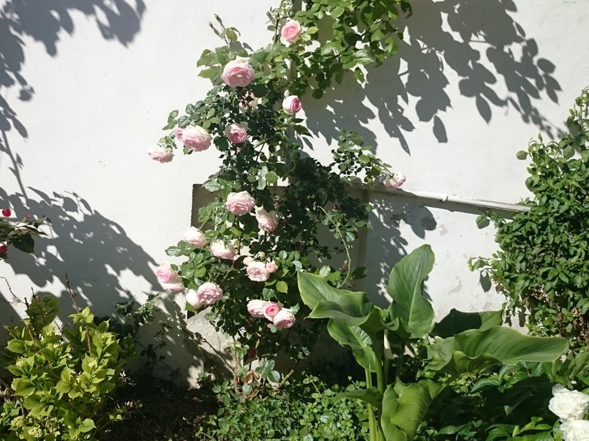 Le Clos Chez Michel Montpellier Exterior foto