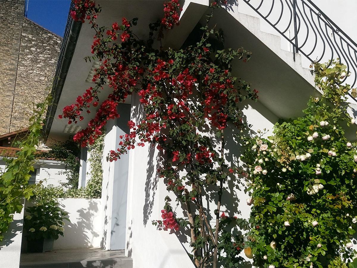 Le Clos Chez Michel Montpellier Exterior foto